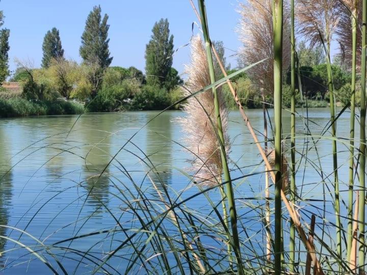 ארל Appartement Residence De Vacances Les Hameaux De Camargue מראה חיצוני תמונה
